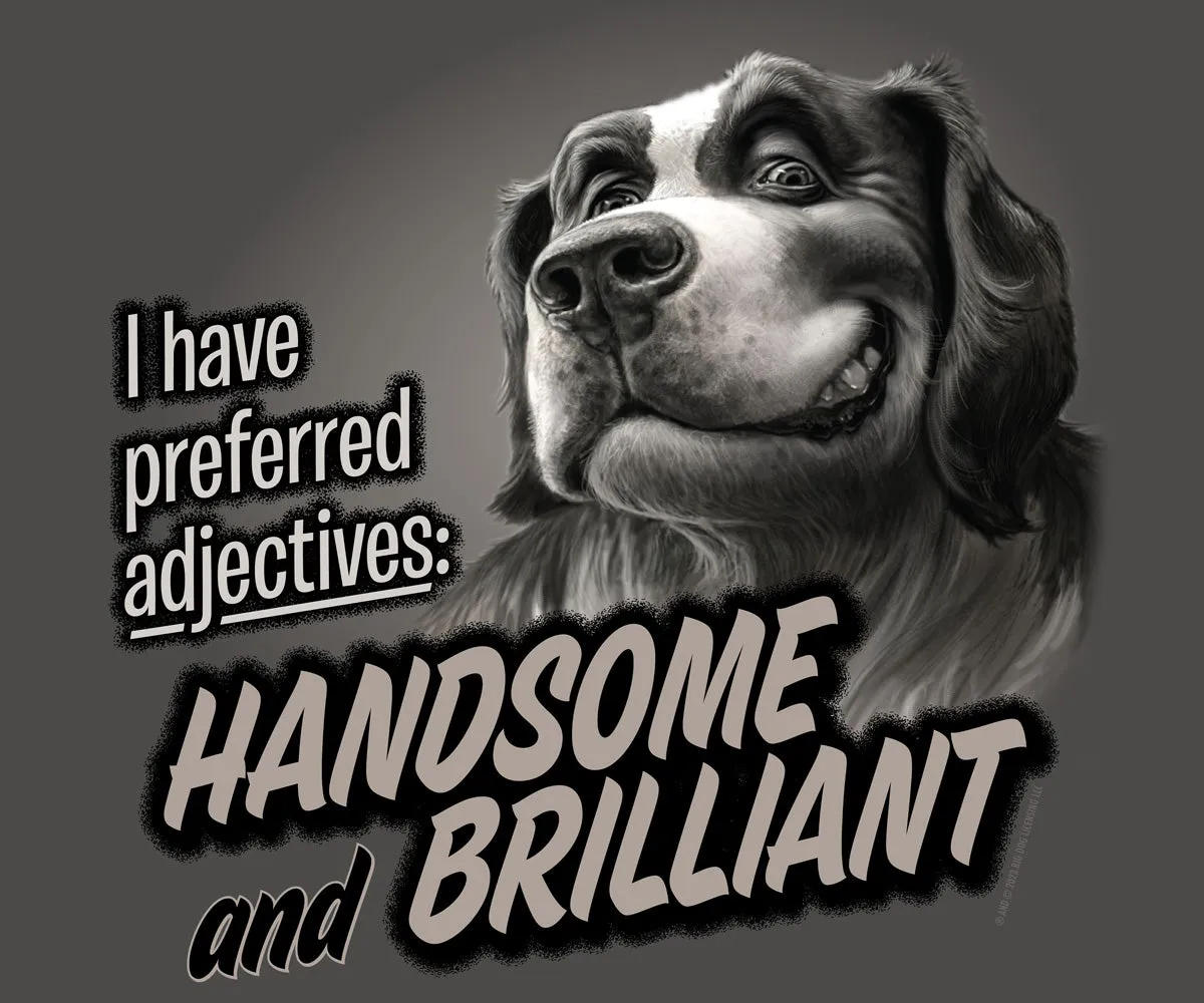 Handsome And Brilliant T-Shirt